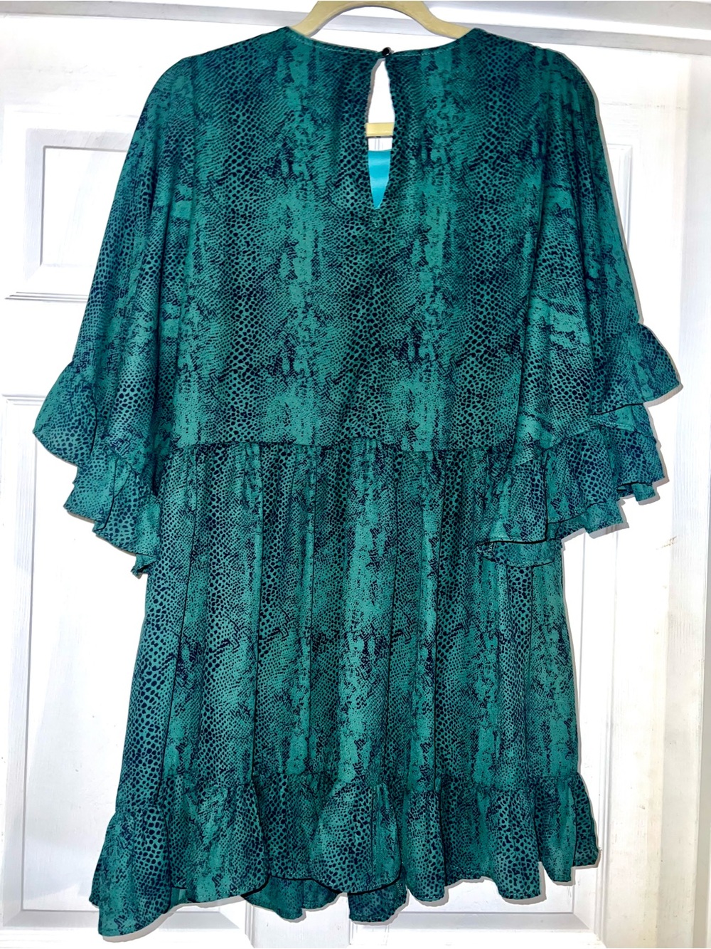 Meritt Snake-Print Ruffle Sleeve Dress - Picture 8 of 8